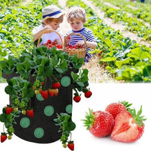 Load image into Gallery viewer, Strawberry Grow Bag Nonwoven Fabric Vertical Jardin Garden
