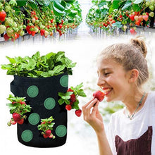 Load image into Gallery viewer, Strawberry Grow Bag Nonwoven Fabric Vertical Jardin Garden
