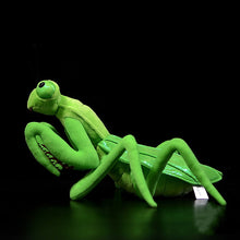 Load image into Gallery viewer, Lifelike Mantis Plush Toys Stuffed Animals Toy For Kids
