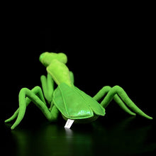 Load image into Gallery viewer, Lifelike Mantis Plush Toys Stuffed Animals Toy For Kids
