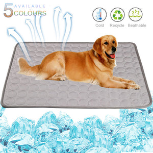 Pet Summer Portable Ice Silk Cooling Pad