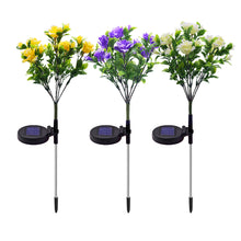 Load image into Gallery viewer, Solar Light LED Waterproof Landscape Decorative Lamp
