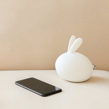 Load image into Gallery viewer, Friendly Soft Silicone USB Eye Care Night Light
