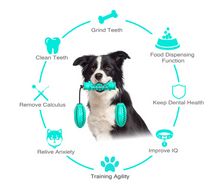 Load image into Gallery viewer, Dog Chew Toys Pet Toothbrush Rubber Bones Teeth Cleaning
