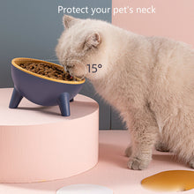 Load image into Gallery viewer, Cat Dog Bowl With Stand Pet Feeding Food Bowls
