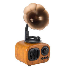 Load image into Gallery viewer, Gramophone Small Speaker
