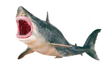Load image into Gallery viewer, Megalodon Prehistoric Shark Model Figure Toy
