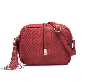 Leisure Female Cross Body Tassel Decoration Bag