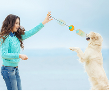 Load image into Gallery viewer, Hand Throwing Ball ABS Dog Chew Training Ball
