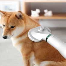 Load image into Gallery viewer, Pet Comb Hair Dryer
