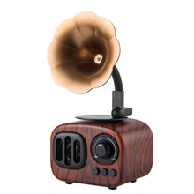 Load image into Gallery viewer, Gramophone Small Speaker

