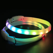 Load image into Gallery viewer, USB Rechargeable Pet Dog LED Glowing Collar
