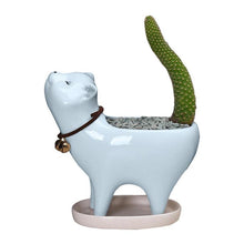 Load image into Gallery viewer, Ceramic Flower Pot Succulent Planter For Home Office Garden

