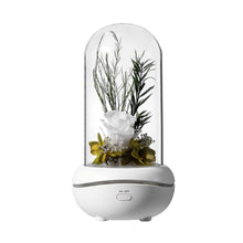 Load image into Gallery viewer, Colorful Led Night Light Eternal Rose Flower Decoration
