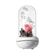 Load image into Gallery viewer, Colorful Led Night Light Eternal Rose Flower Decoration
