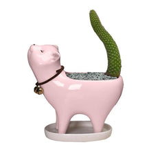 Load image into Gallery viewer, Ceramic Flower Pot Succulent Planter For Home Office Garden
