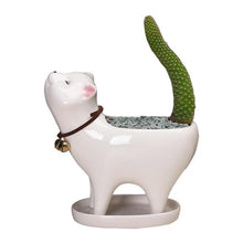 Load image into Gallery viewer, Ceramic Flower Pot Succulent Planter For Home Office Garden
