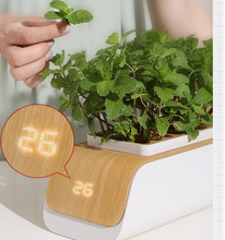 Load image into Gallery viewer, Hydroponic Container Flower Pot Garden Patio ABS
