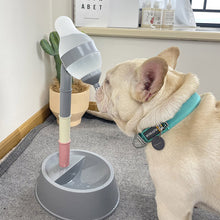 Load image into Gallery viewer, Automatic Pet Water Dispenser Stand Feeder Bowl Adjusting Height
