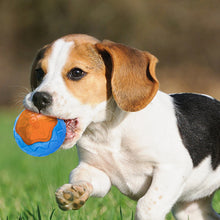 Load image into Gallery viewer, Dog Toy Ball Audible Glow Can Float Grinding Teeth
