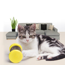 Load image into Gallery viewer, Pet Toy Magic Organ Corrugated Paper Wheel
