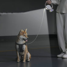 Load image into Gallery viewer, Automatic Lighting Retractable Dog Leash
