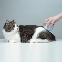 Load image into Gallery viewer, Floating Massage Pet Needle Comb Cat Hair Cleaner
