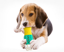 Load image into Gallery viewer, Summer Cooling Cleaning Care Teeth Pet Chewing Supplies
