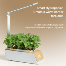 Load image into Gallery viewer, Hydroponic Container Flower Pot Garden Patio ABS
